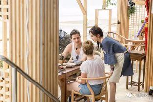 中餐厅在线观看,美味之旅，在线观看，尽享中华美食盛宴  第2张